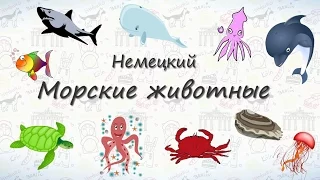 Морские животные на немецком.