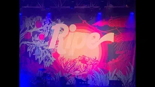 Ripe "Brother Sky" live at the House of Blues in Boston on February 9th, 2019