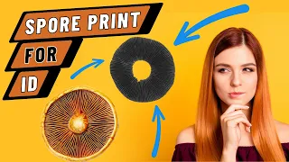 How to Make a Spore Print for Mushroom Identification