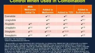 Type 2 Diabetes Treatment: Novel Therapies GLP-1 Receptor Agonists/Analogs and DPP-4 Inhibitors