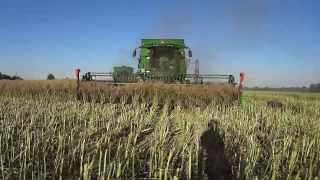 Żniwa  Rzepakowe - Harvest Rape 2016 PR Długie Stare 4X John Deere