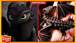 How To Train Your Dragon All Characters In Real Life New 👉 CELEB TUBE