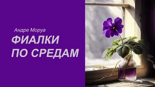 "Фиалки по средам" Андре Моруа. Аудиокниги