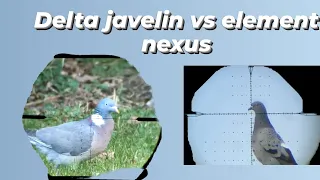 element nexus vs delta javelin (personal opinion)