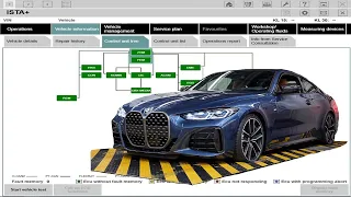 BMW ISTA+ Rheingold