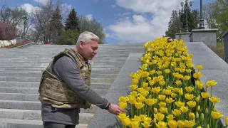 Харьков 27 апреля живёт и работает: Высадка цветов идет в городе полным ходом