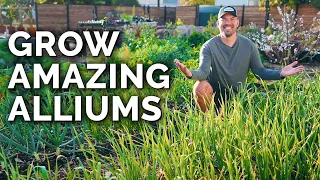 8 Tips to Grow Perfect Onions, Garlic, and Leeks