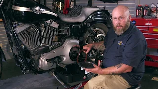 Primary Oil Change : Harley Davidson Dyna