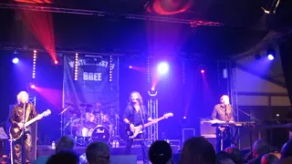 Vostertfeesten, Bree 2017 the Trems - Here Comes My Baby