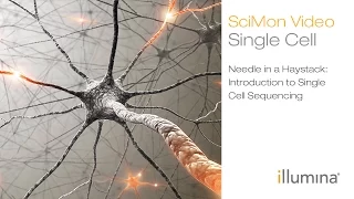 Needle in a Haystack: Introduction to Single Cell Sequencing | Illumina SciMon Video