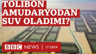 Афғонистон: Толибон Амударёдан Фарёбга қадар канал қазимоқчи, Ўзбекистонга нима? - BBC News O'zbek