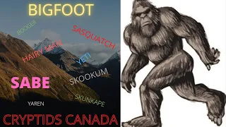 EPISODE 343  BIGFOOT/SASQUATCH