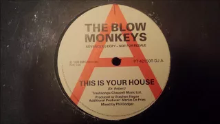 The Blow Monkeys - This Is Your Life (Short)