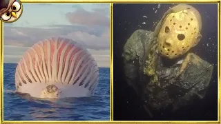 What They Found In The Ocean Shocked The World