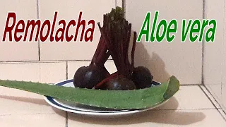 Jugo de Remolacha con Aloe vera: Sus múltiples beneficios