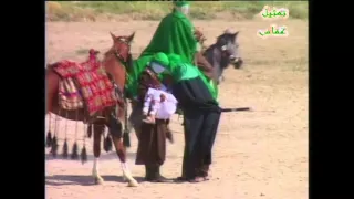 ذبيح السماء في كربلاء (مقتل الشيخ الكبير و اميري حسين )