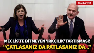 Meclis'te bitmeyen 'ırkçılık' tartışması! Soylu'dan HDP'li vekillere: Çatlasanız da patlasanız da...