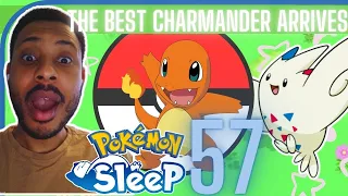 Pokemon Sleep 57: Last Day Of Fire Week Blessed Us With A GOAT Charmander ✨