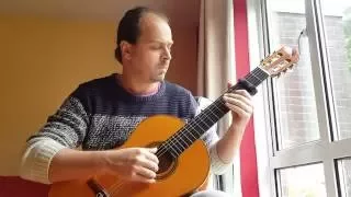 Hungarian dance no 5 - J. Brahms arrangement for classical guitar