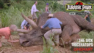 JURASSIC PARK (1993) | The Sick Triceratops Scene 4K UHD