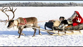 Christmas in Pello 🦌🎅 Santa Claus reindeer land in Lapland Finland Arctic Circle holiday destination