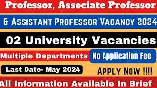 Assistant Professor Vacancy 2024 | 02 University Vacancies | Associate Professor | Professor |#job