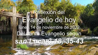 Reflexión del Evangelio de hoy lunes 14 de noviembre de 2022, según san Lucas  18, 35 43