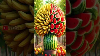 Easy and new method for planting and growing hybrid fruit trees that cross bananas with watermelons.