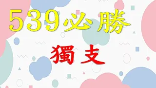 1月29日 539必勝獨支-1上期中35