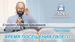 Время посещения Твоего. Андрей Башмаков, епископ.