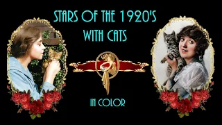 Movie Stars of the 1920s and their Cats - in color