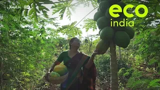 Eco India: How can farmers thrive without using chemical fertilisers?