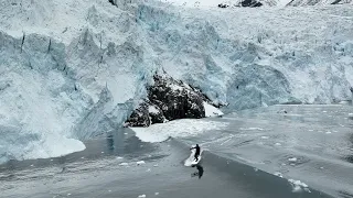 600ft Tall Calving Glacier causes Tsunami Wave for Surfers Below