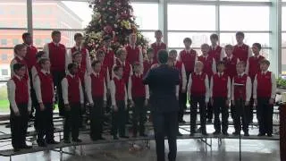 The American Boychoir - The Lord Bless You And Keep You