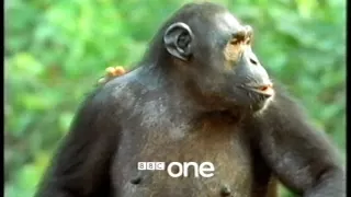 Charles Darwin and the Tree of Life - BBC One 2009
