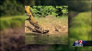 Man charged with killing alligator with mower