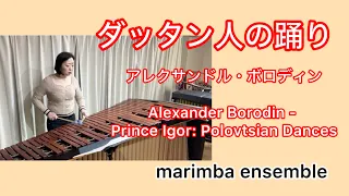 【マリンバ】『ダッタン人の踊り』Borodin - Prince Igor: Polovtsian Dances