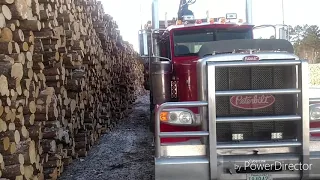 Long Day in a Logging Truck to Beat the Big Winter Rain!!!