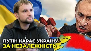 Це кінець умовного перемир'я, яке давали мінські домовленості / В'ЯТРОВИЧ про визнання "ЛДНР"