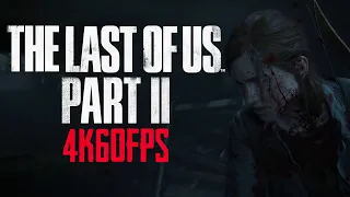 This is How the Last of Us Part II Should Run on PS5 (4K60FPS 2021 EDITION)