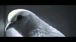 Mr Nobody 2009 pigeon superstition