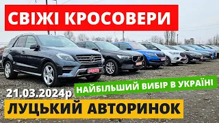 СВІЖІ ЦІНИ на КРОСОВЕРИ  // ЛУЦЬКИЙ АВТОРИНОК // 21.03.2024р. #автопідбір #кросовери  #автобазар