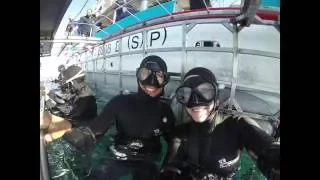 Cape Town Shark Cage Diving