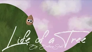 Life of a Tree Animated Short