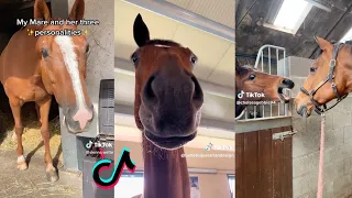 The Best MARES - Equestrian TikTok Compilation #8