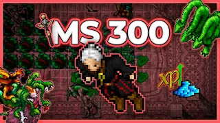 MS 300 Hunt Solo Deeper Banuta 6.9kk/h (300%) - Tibia Hunt #tibia #tibiahunt #hunts