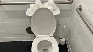 2018 glacier bay designer toilet tp test