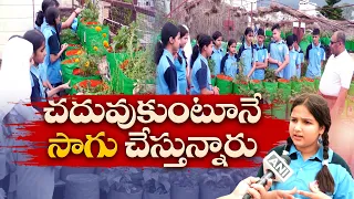 విద్యార్థులకు సాగు పాఠాలు | School in Udhampur Integrates Rooftop Farming into Curriculum | Yuva