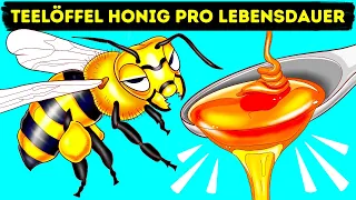 Wie und warum Bienen Honig herstellen (und andere interessante Fakten über Bienen)