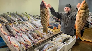 2 Huge Carp Fried On A Campfire! A Simple But Very Tasty Recipe